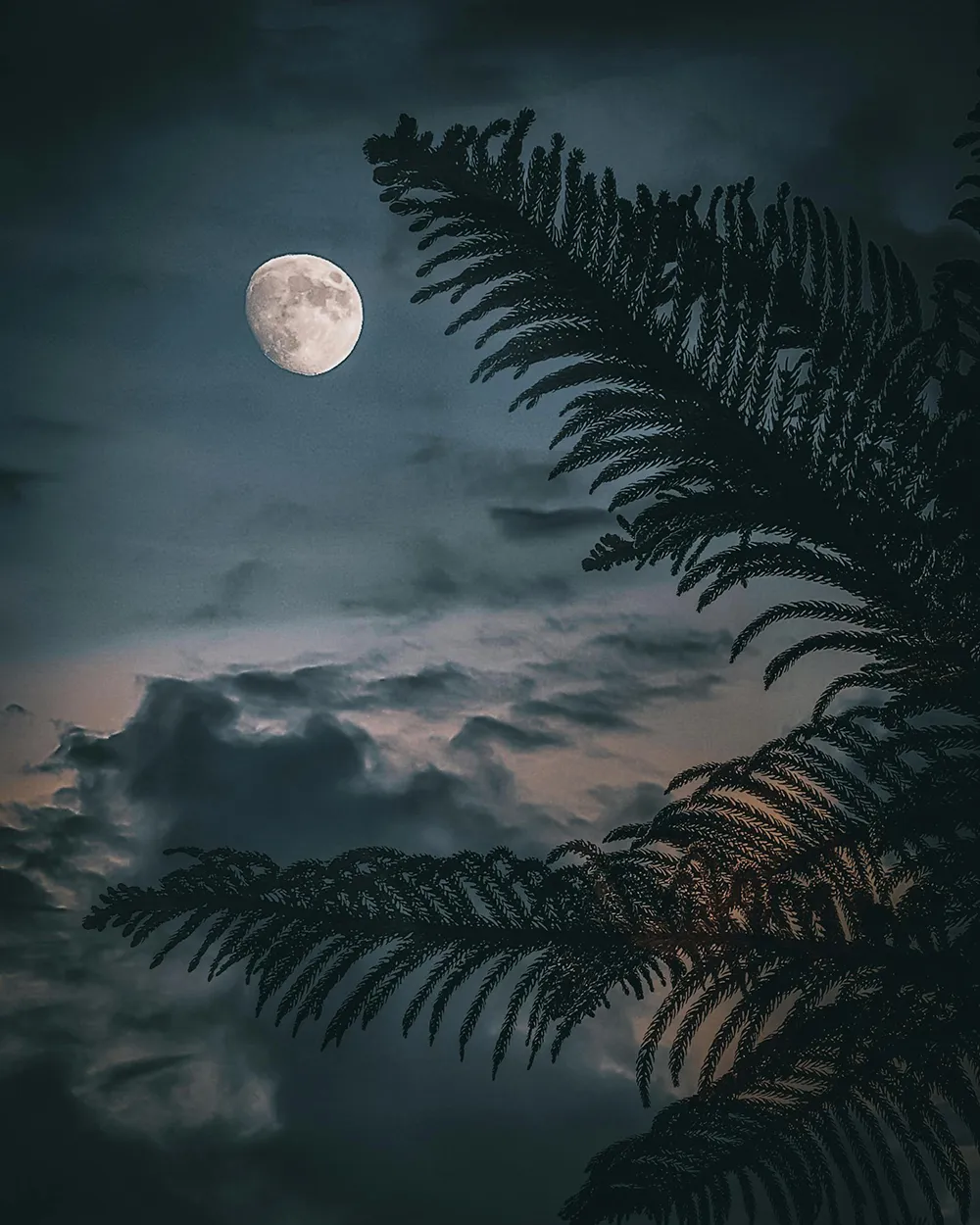 Ảnh bầu trời đêm